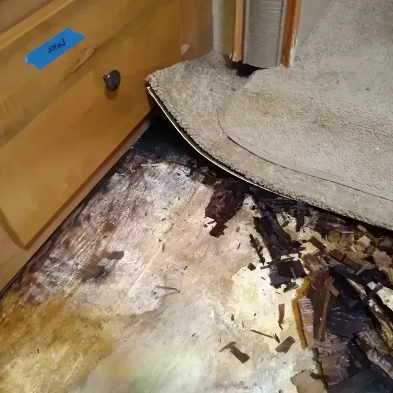 Wood Floor Water Damage in Grafton, OH